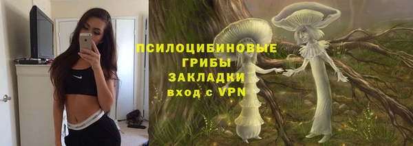 крисы Горняк