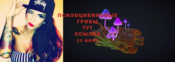 ешки Вяземский