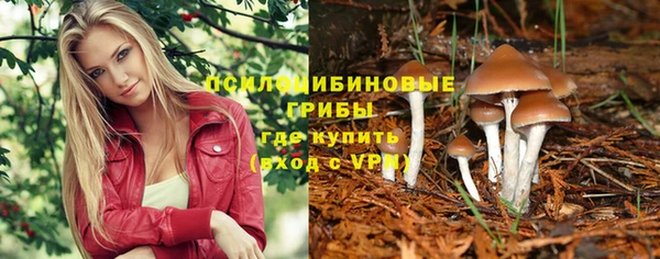 крисы Домодедово