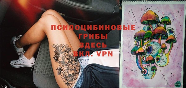 мяу мяу мука Вязьма