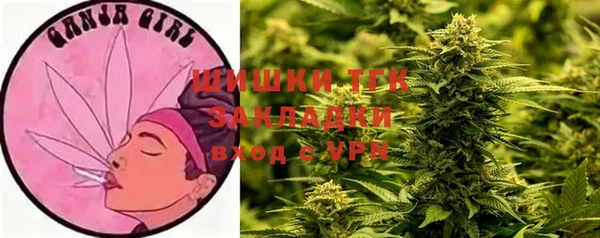 ешки Вяземский