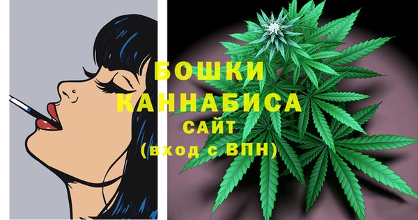 ешки Вяземский